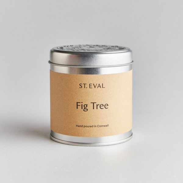 fig tin 1