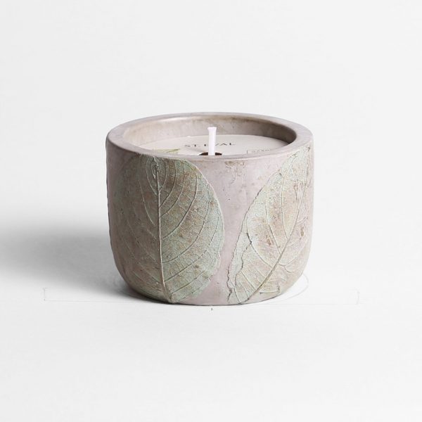 geranium pot